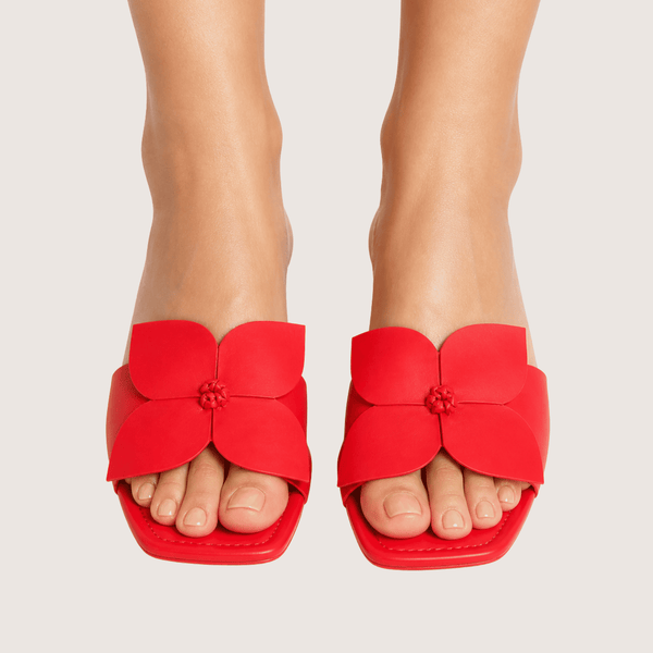 Red Fire Lily Flat